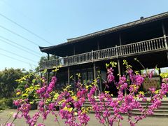 -韩湘水博园