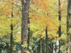 -晓港公园