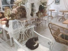大堂-共舞时光猫咖·狗咖(新街口店)