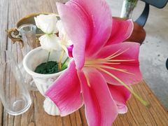 -花十悦·鲜花咖啡餐厅(振业城一期店)