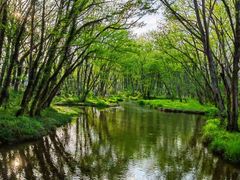 -西溪国家湿地公园