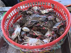 -南戴河海滨市场