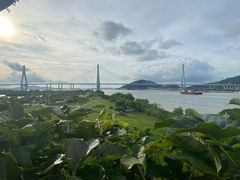 -芒洲湿地公园