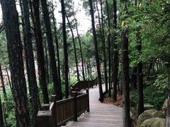 -八仙山公园