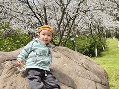 -南山植物园