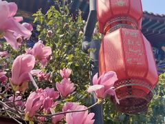 -皇罗禅寺