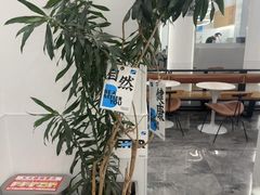 -Blueglass酸奶(上生新所店)
