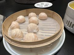 -金粤九号(李公堤店)