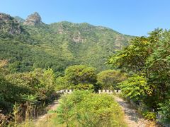 -云岫谷游猎自然风景区