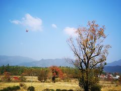 -塔川景区