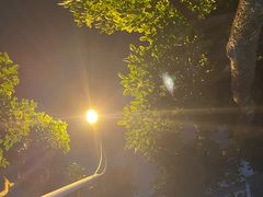 -文昌邓记清补凉(西沙路店)