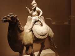 -宁夏博物馆