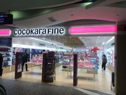点击看大图 -cocokarafine可开嘉来