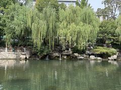-泉城广场