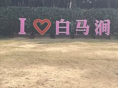 -白马涧龙池景区