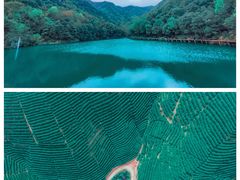 -龙坞茶村