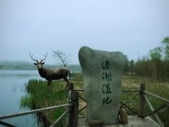 -溱湖国家湿地公园