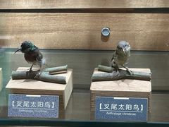 -温州博物馆
