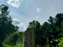 -黄椅山火山森林公园