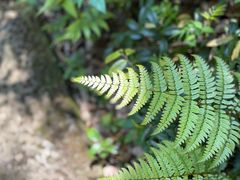 -龙湾潭国家森林公园