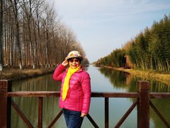 -黄海国家森林公园