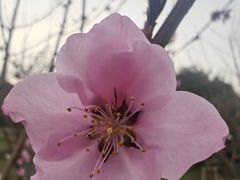 -苏州上方山国家森林公园