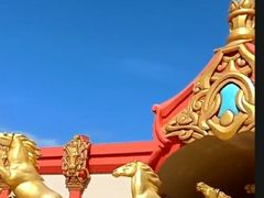 -中国马镇舞马世界主题乐园