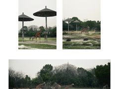 -宁波野生动物园