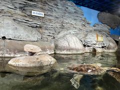-厦门海底世界