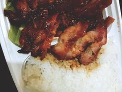 -肥仔烧鹅(松岗店)