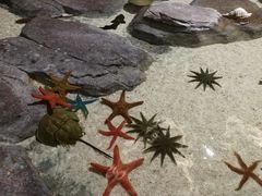 -福州罗源湾海洋世界旅游区