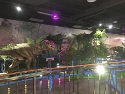 点击看大图 -卡通尼乐园·生日会(烟台永旺店)