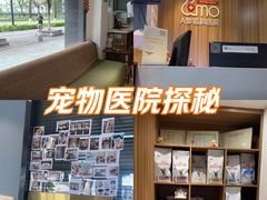 -御宝贝·A梦猫科宠物医院(国际猫友好医院)
