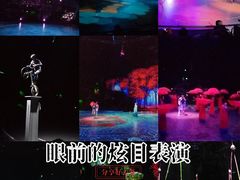 -上海马戏城