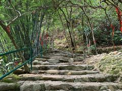 -紫云谷景区