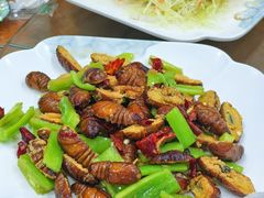 干煸茧蛹-锅贴王海鲜小馆