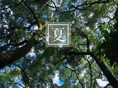 -峨眉山报国寺
