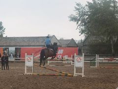 -北京群众马术培训基地