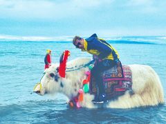 -青海湖国家重点风景名胜区