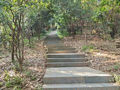 -杭州半山国家森林公园