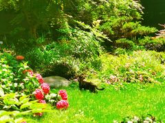 -上海老站(徐家汇店)