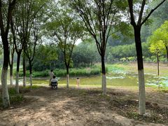 -东郊湿地公园