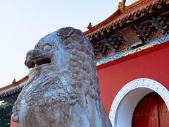 -北陵公园