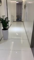 -agge蛋白医美