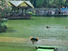 -西双版纳原始森林公园