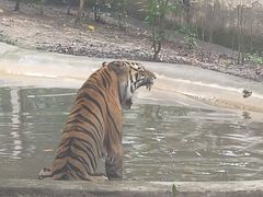 -成都动物园