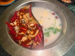 -麻田会 ·鲜活现烹·牛蛙火锅(珠江新城维家思广场店)