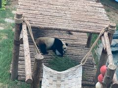 -大连森林动物园