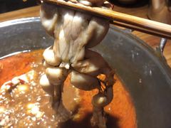 -老天桥蛙炉火锅(姑苏总店)