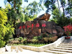 -仙岳公园